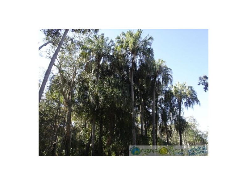 Deepwater QLD 4674