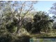 Deepwater QLD 4674