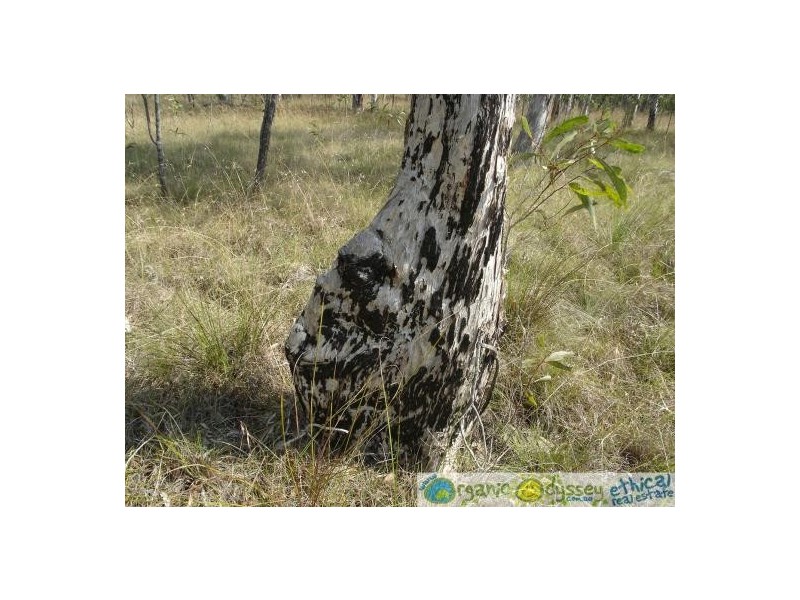 Round Hill QLD 4677