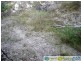 Mount Perry QLD 4671