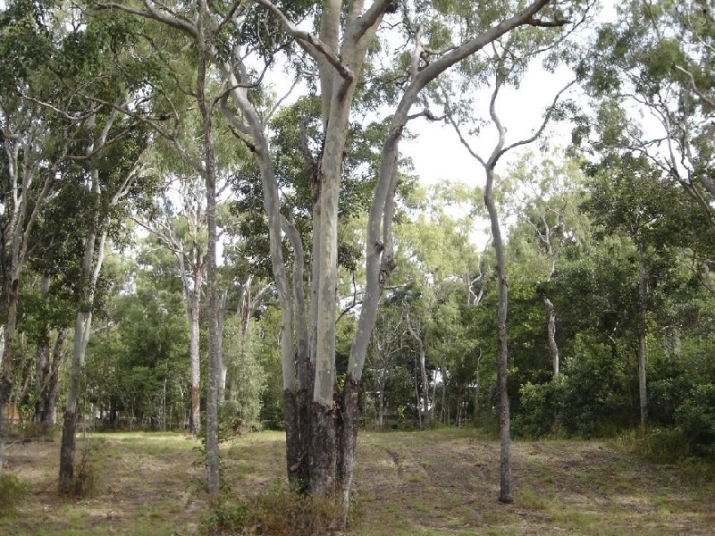 Moore Park Beach QLD 4670