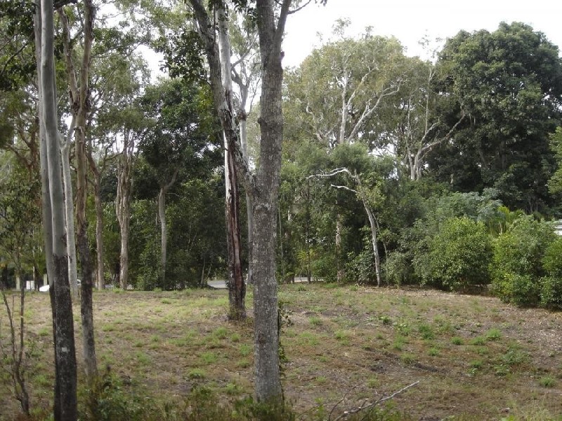 Moore Park Beach QLD 4670