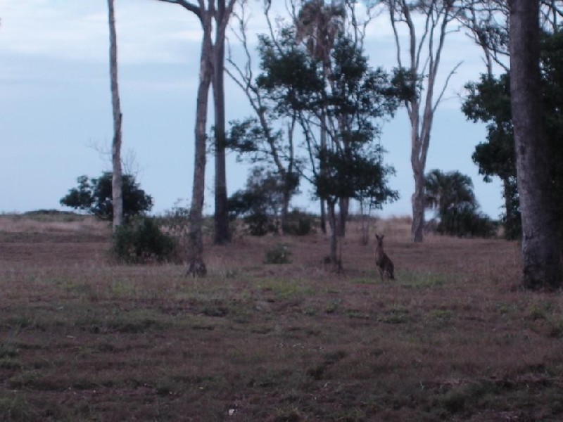 Moore Park Beach QLD 4670