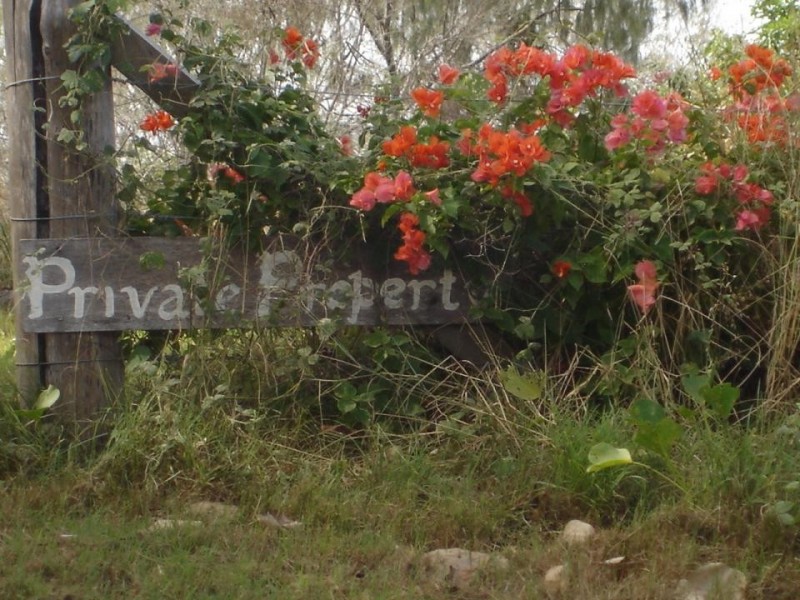Moore Park Beach QLD 4670
