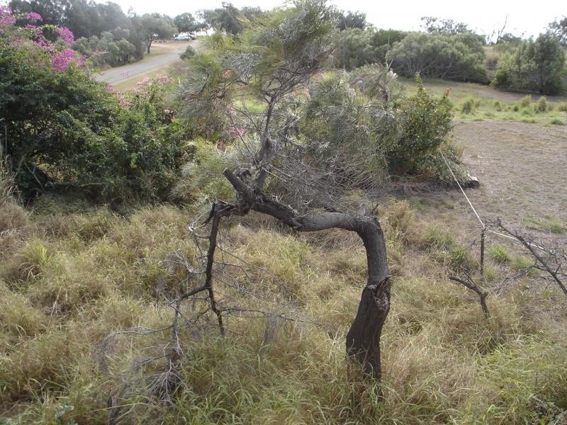 Moore Park Beach QLD 4670