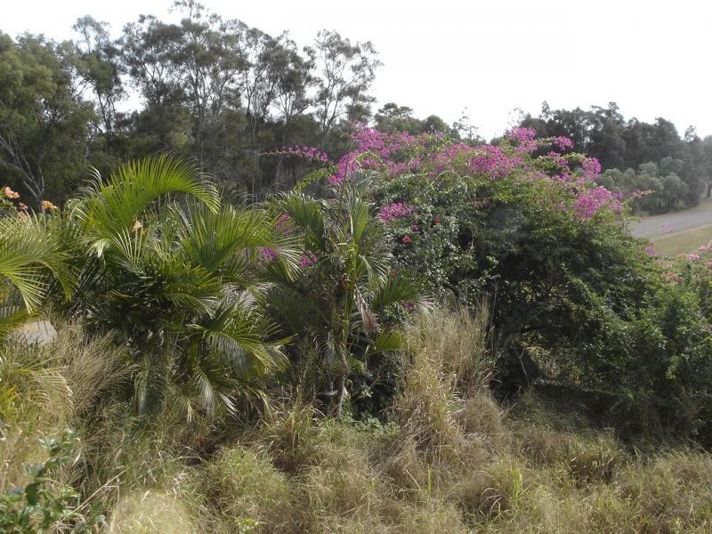 Moore Park Beach QLD 4670
