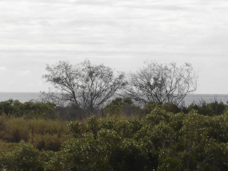 Moore Park Beach QLD 4670
