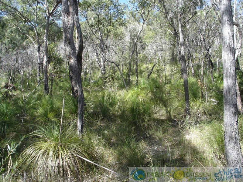 Agnes Water QLD 4677