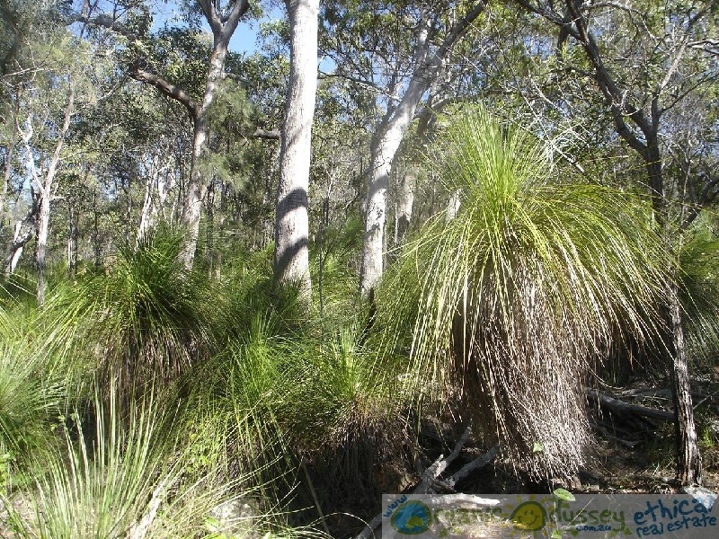 Agnes Water QLD 4677