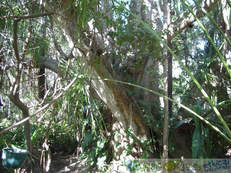 Moore Park Beach QLD 4670