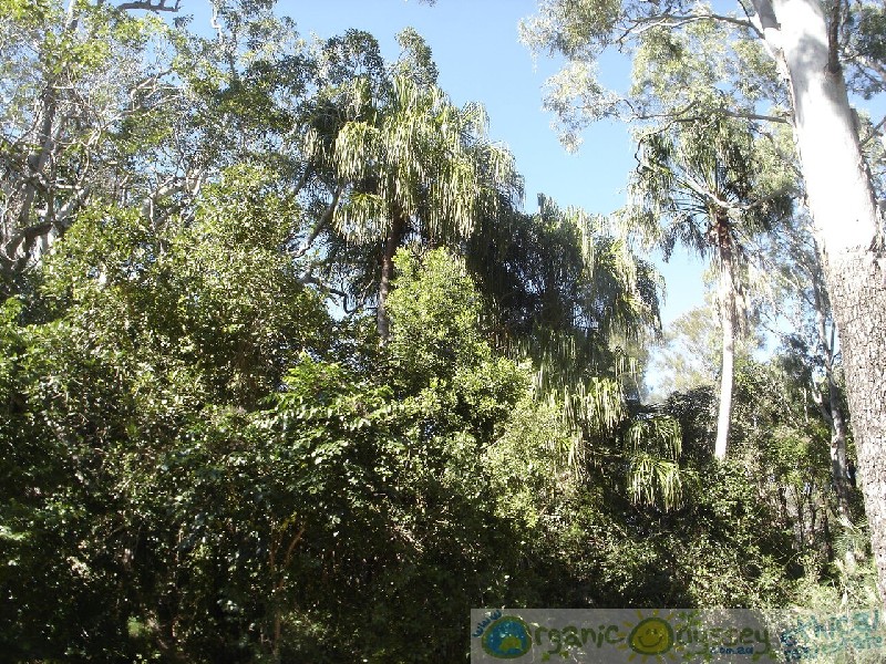 Moore Park Beach QLD 4670