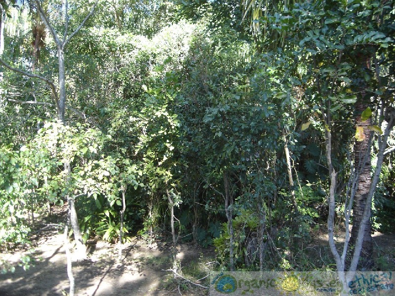 Moore Park Beach QLD 4670