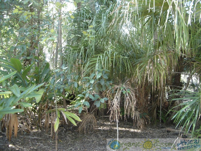 Moore Park Beach QLD 4670