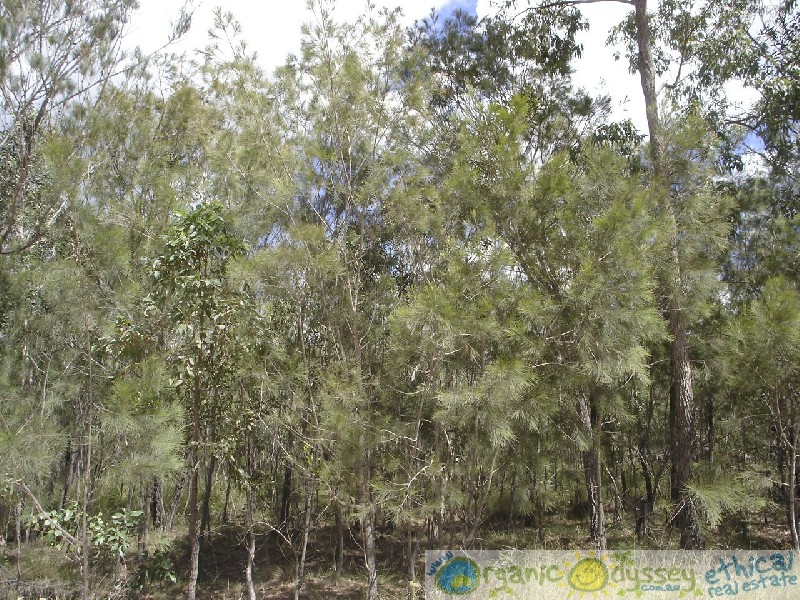 Deepwater QLD 4674