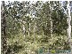 Deepwater QLD 4674
