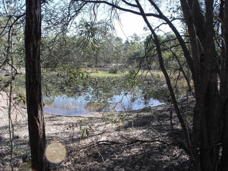 Baffle Creek QLD 4674
