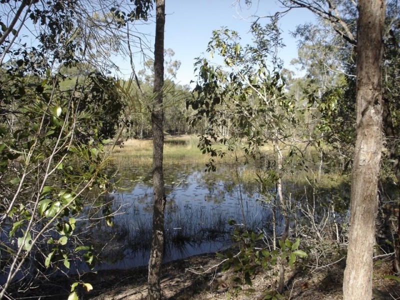 Baffle Creek QLD 4674