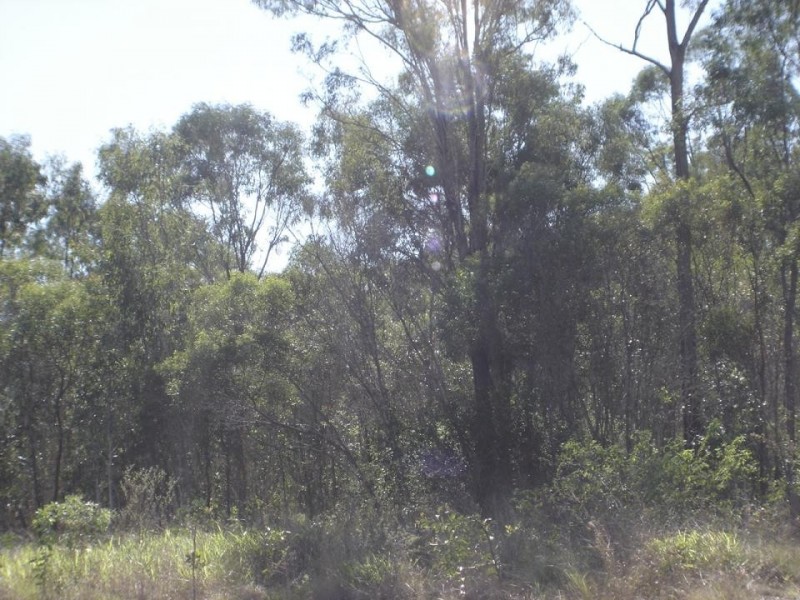 Baffle Creek QLD 4674