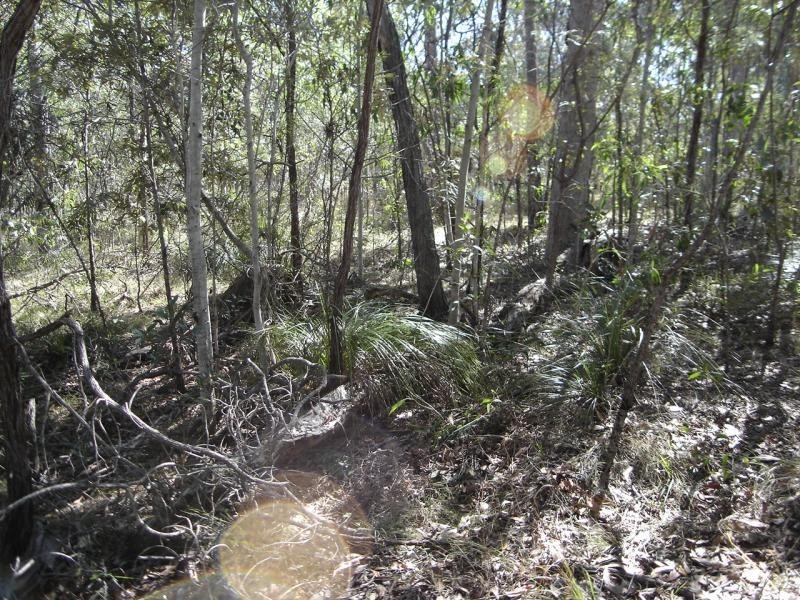 Baffle Creek QLD 4674