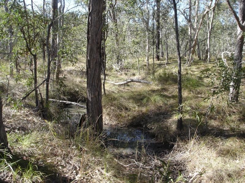 Baffle Creek QLD 4674