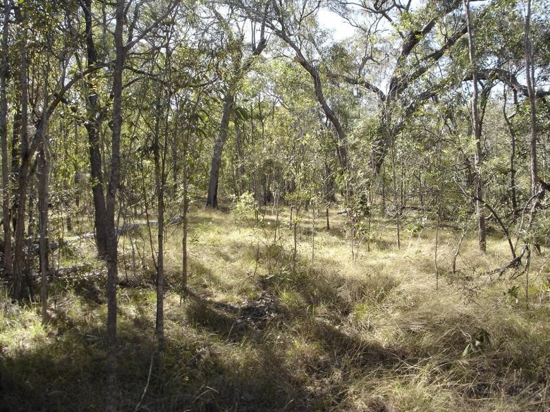 Baffle Creek QLD 4674