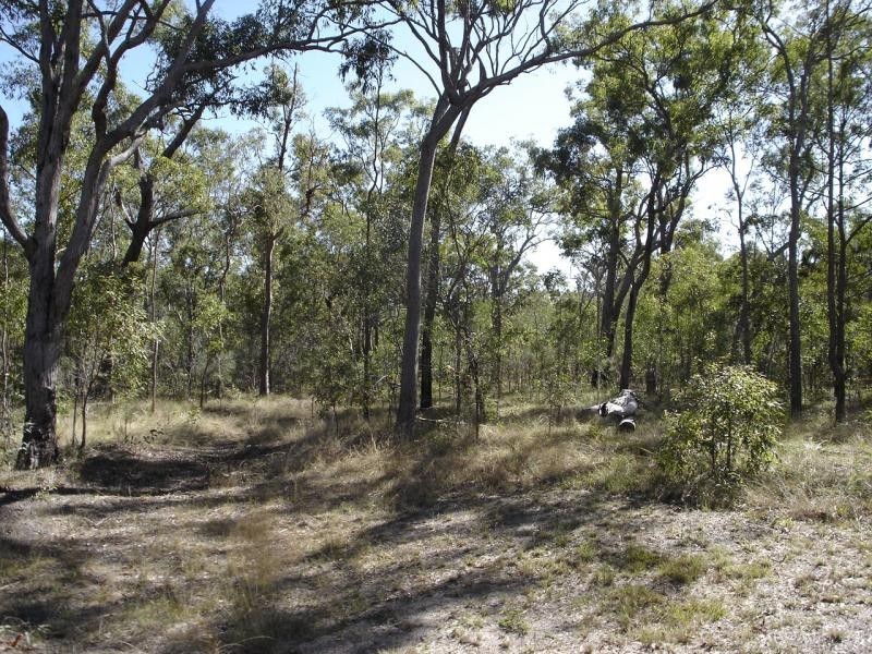Baffle Creek QLD 4674