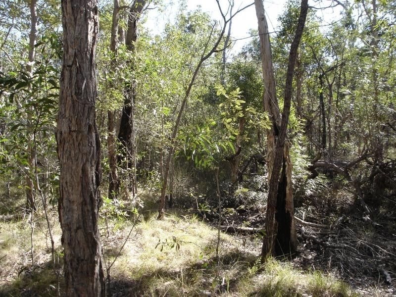 Baffle Creek QLD 4674
