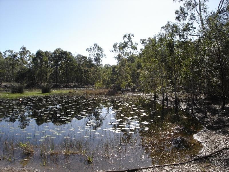 Baffle Creek QLD 4674