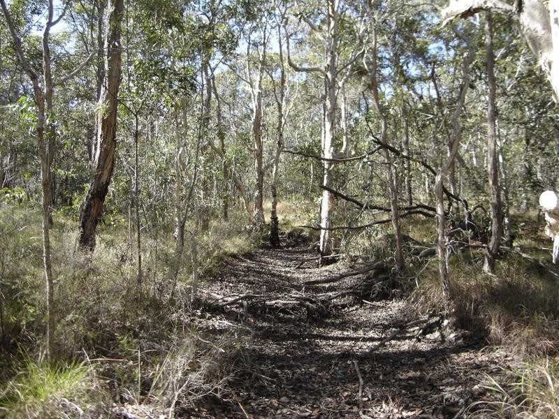 Baffle Creek QLD 4674