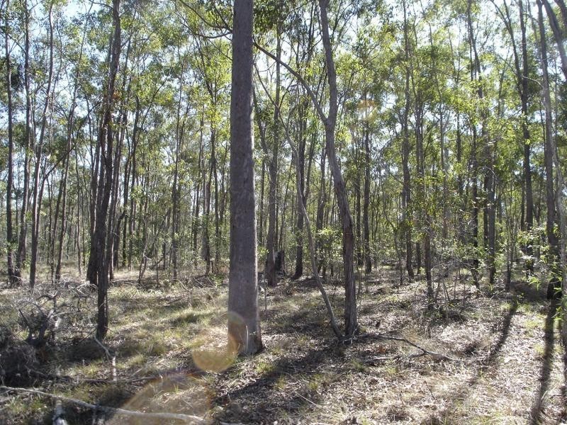 Baffle Creek QLD 4674