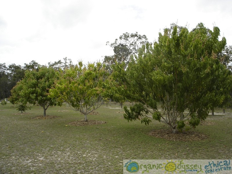 Rules Beach QLD 4674