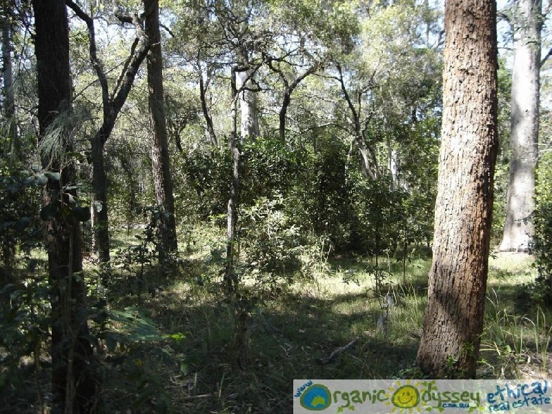 Baffle Creek QLD 4674