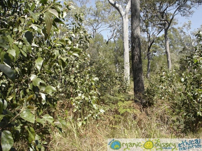 Baffle Creek QLD 4674