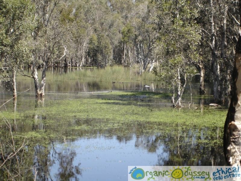 Baffle Creek QLD 4674