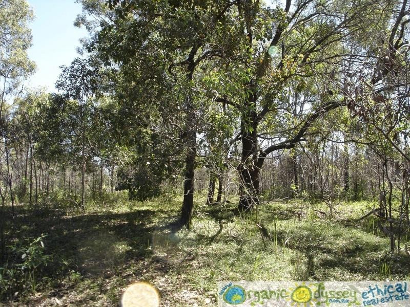 Baffle Creek QLD 4674