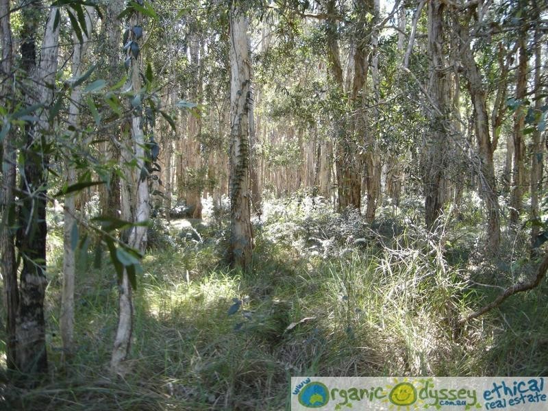 Baffle Creek QLD 4674