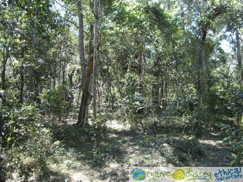 Baffle Creek QLD 4674