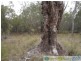 Deepwater QLD 4674