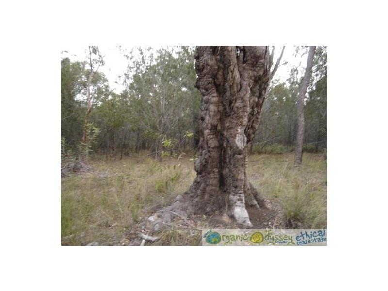 Deepwater QLD 4674