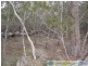 Deepwater QLD 4674