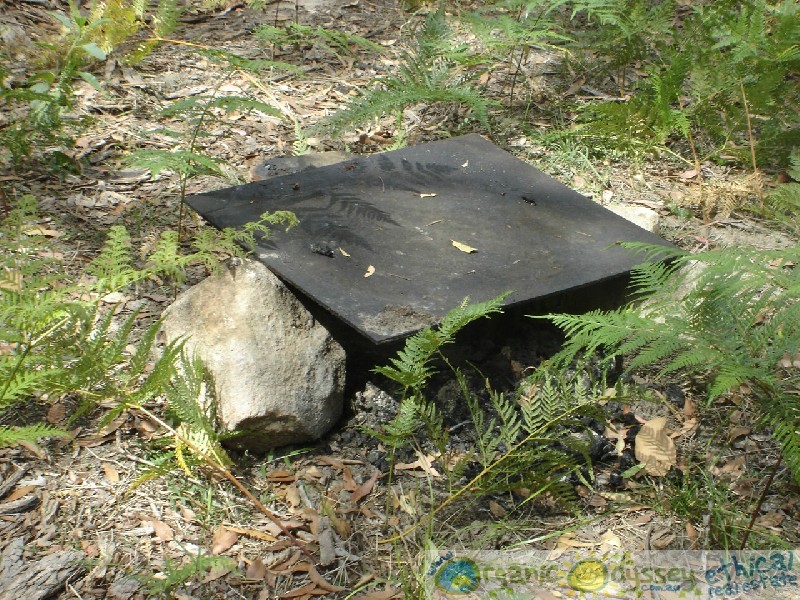 Mount Maria QLD 4674