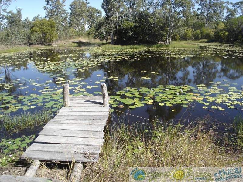 Baffle Creek QLD 4674