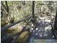 Baffle Creek QLD 4674