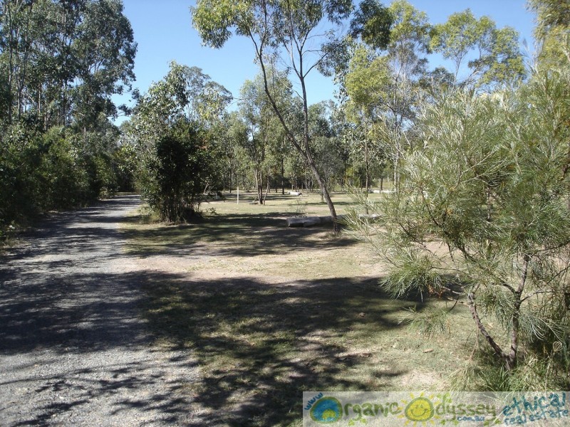 Baffle Creek QLD 4674