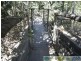 Baffle Creek QLD 4674