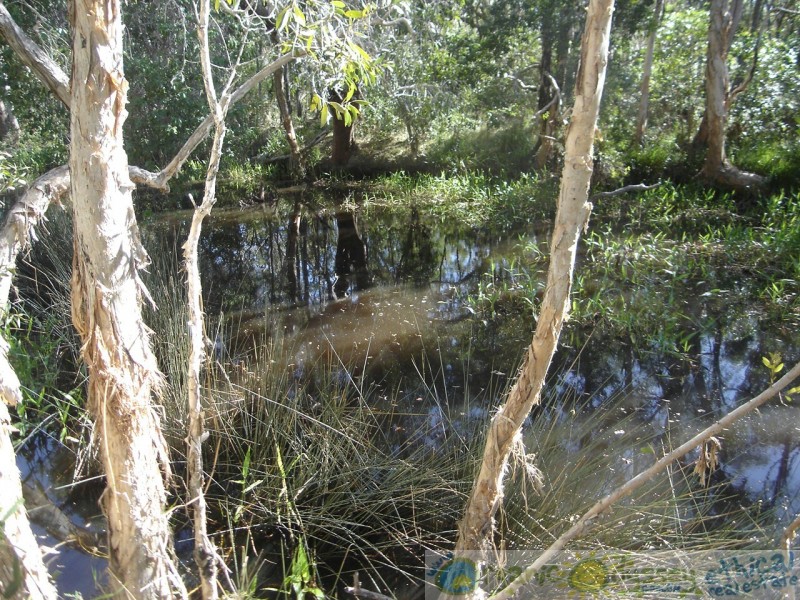 Captain Creek QLD 4677