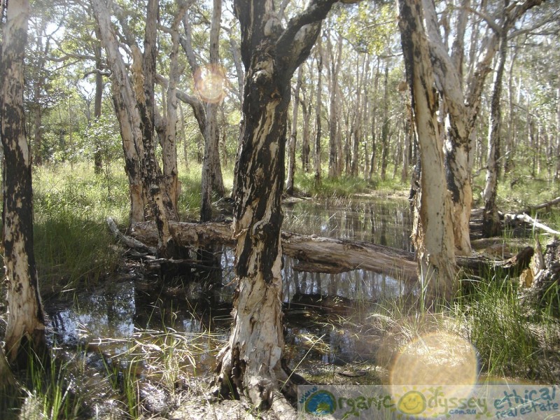 Captain Creek QLD 4677