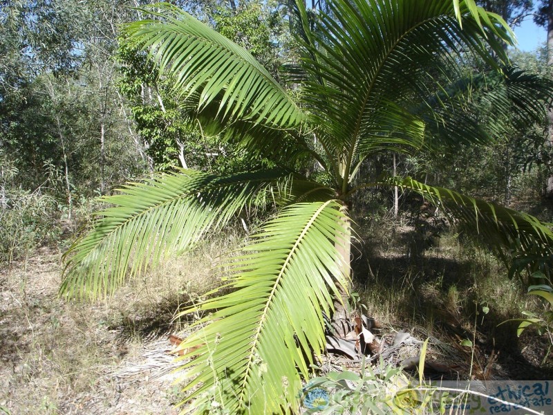 Captain Creek QLD 4677