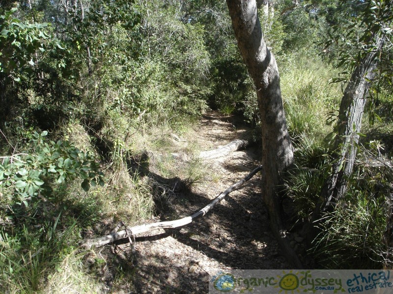 Captain Creek QLD 4677