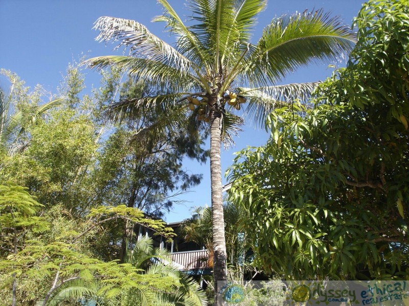 Agnes Water QLD 4677